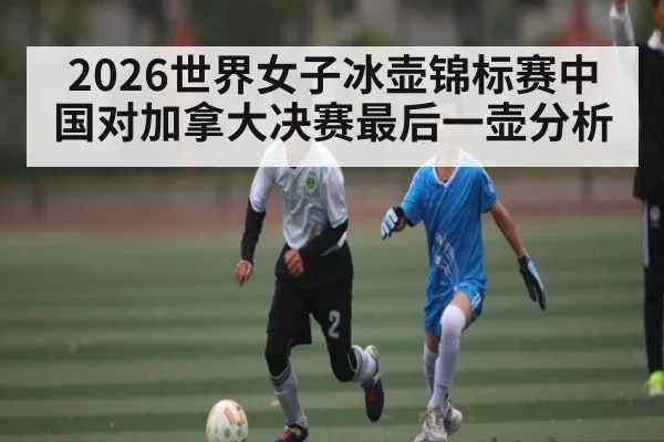 2026世界女子冰壶锦标赛中国对加拿大决赛最后一壶分析